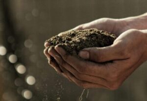 hands holding dirt