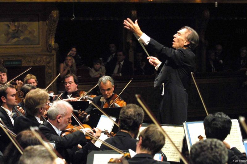 Orchestra Conductor