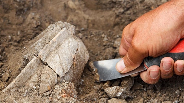 Someone excavating fossils