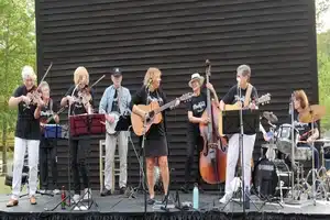 Mudflats band on stage